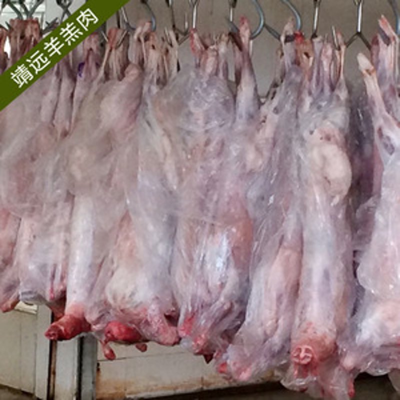 羊肉批发
